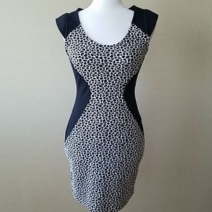 Express Black and White Sweater Dress NWT